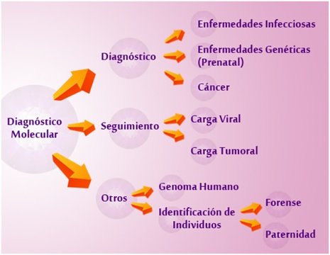 Diagnostico Molecular Diagnostico Molecular
