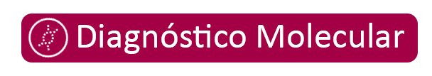diagnostico molecular diagnostico molecular