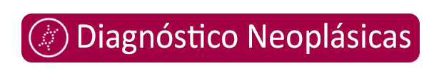 diagnostico neoplasicas diagnostico neoplasicas