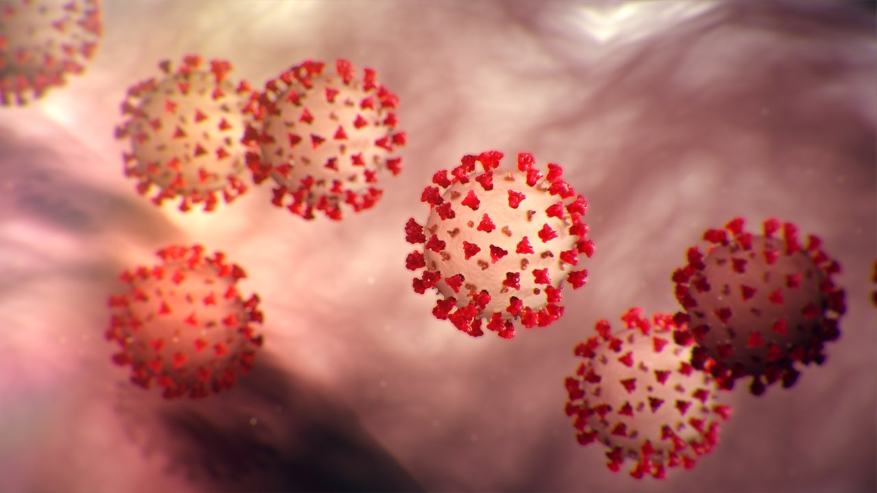 Coronavirus-virus-ciencia-Foto-Archivo Coronavirus-virus-ciencia-Foto-Archivo