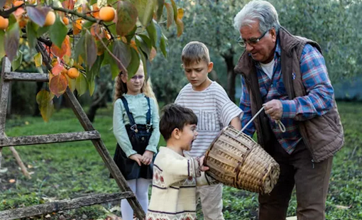 pruebas-diagnostico-parentesco-genetico